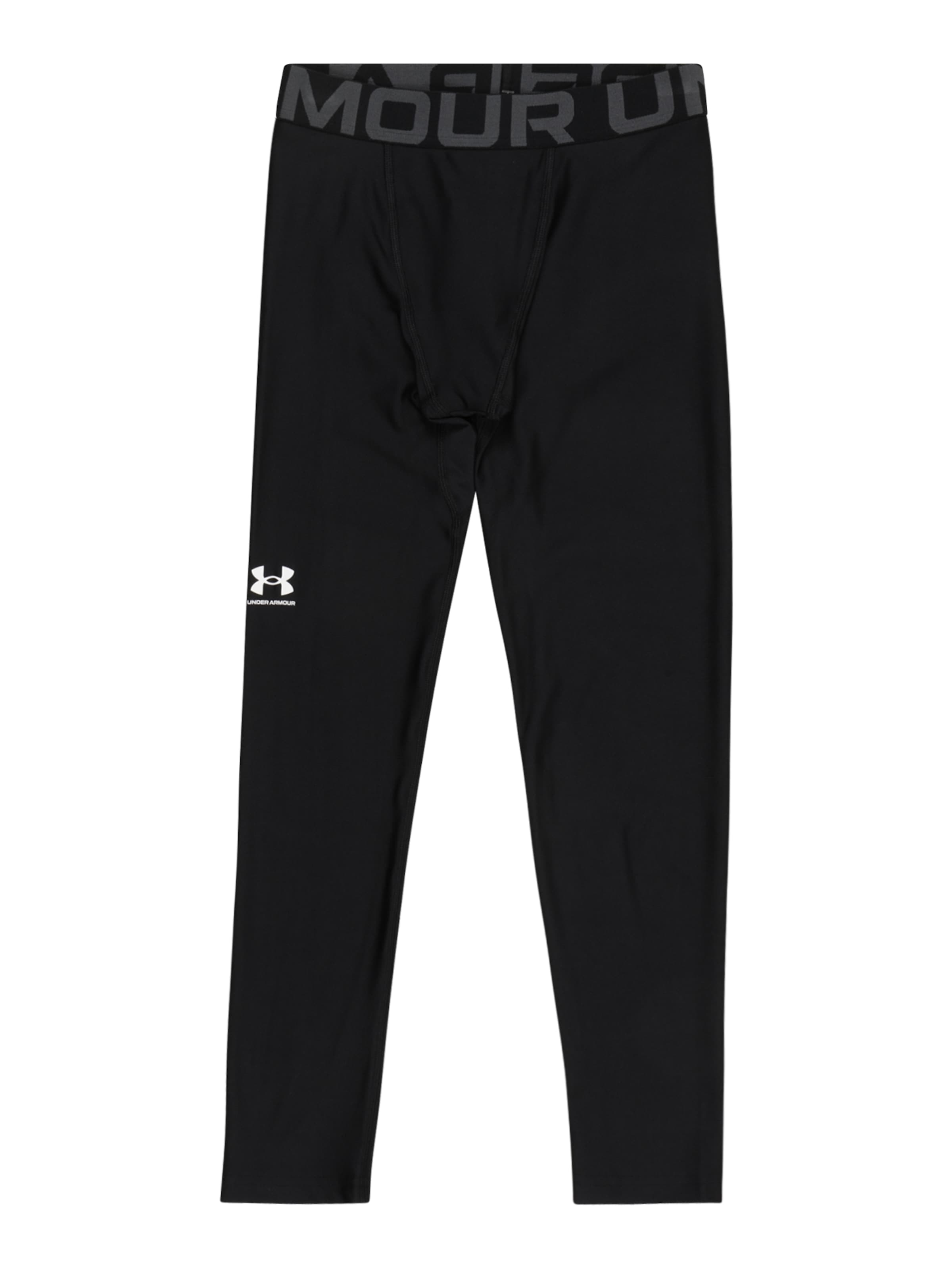 UNDER ARMOUR Skinny Sporthose in Schwarz: Vorderseite