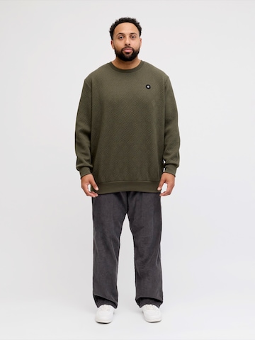 Jack & Jones Plus Sweatshirt 'JCOGEO' i grön