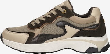 Baskets basses 'Portia Love' MEXX en marron : devant