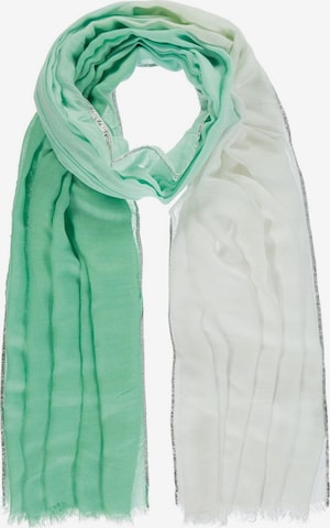 Passigatti Wrap 'Schal Degradé mit Silberrand' in Green: front