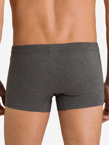 Hanro Boxer shorts 'Cotton Essentials' in Grey