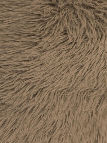 Accessoires pour animaux 'Tornio' Aspero en marron