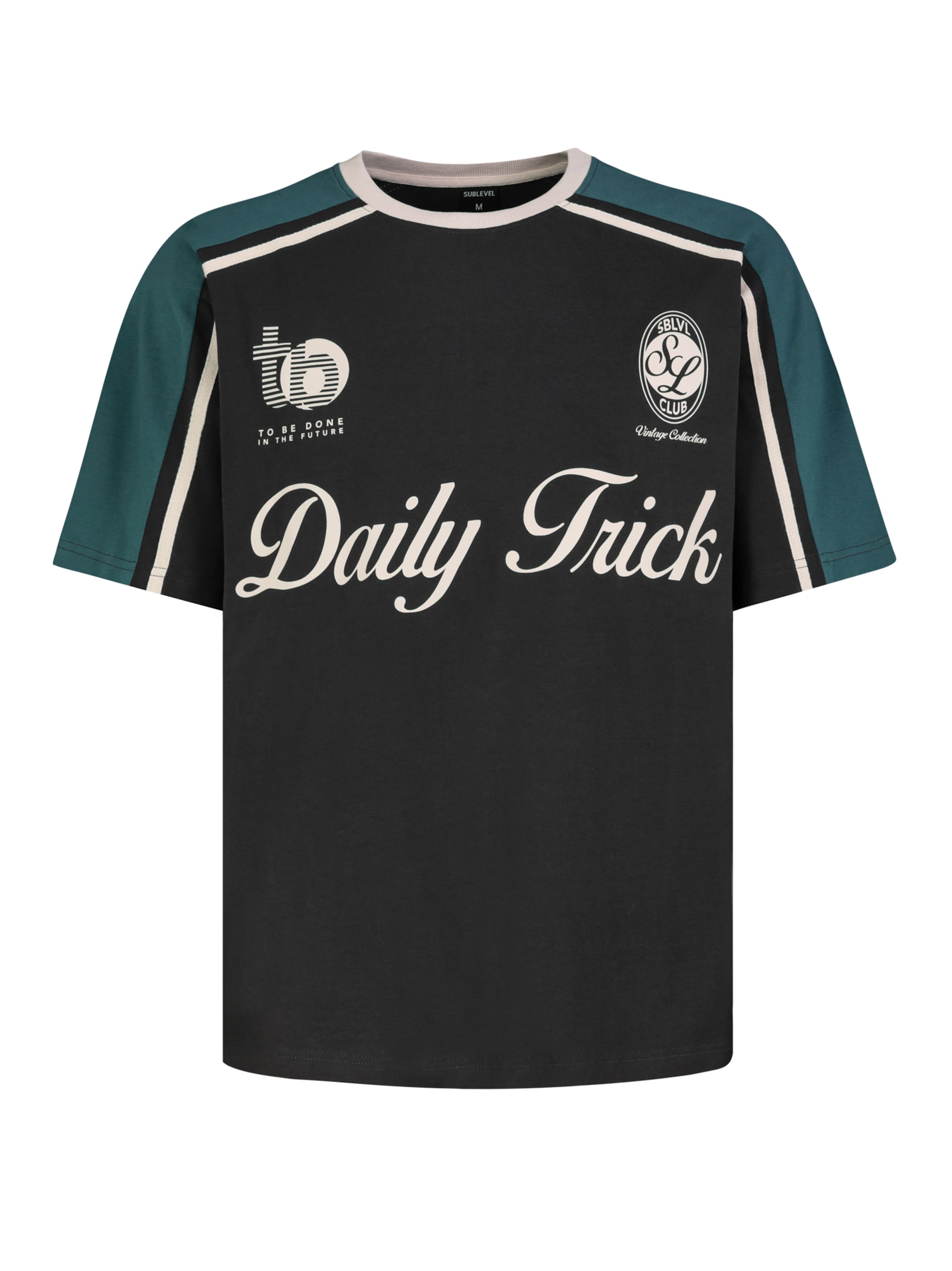 Sublevel T-Shirt in Grau: Vorderseite