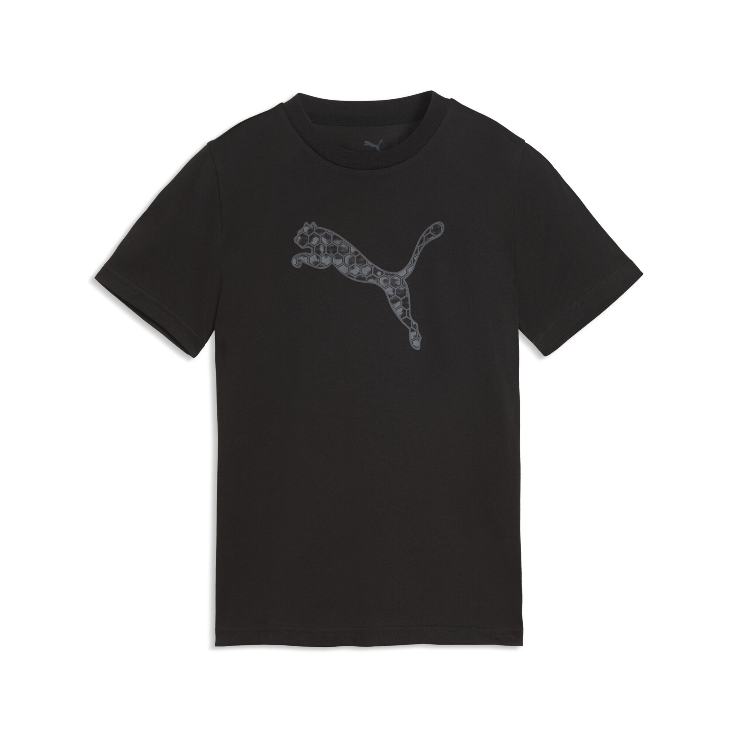 PUMA Funktionsshirt in Schwarz: Vorderseite