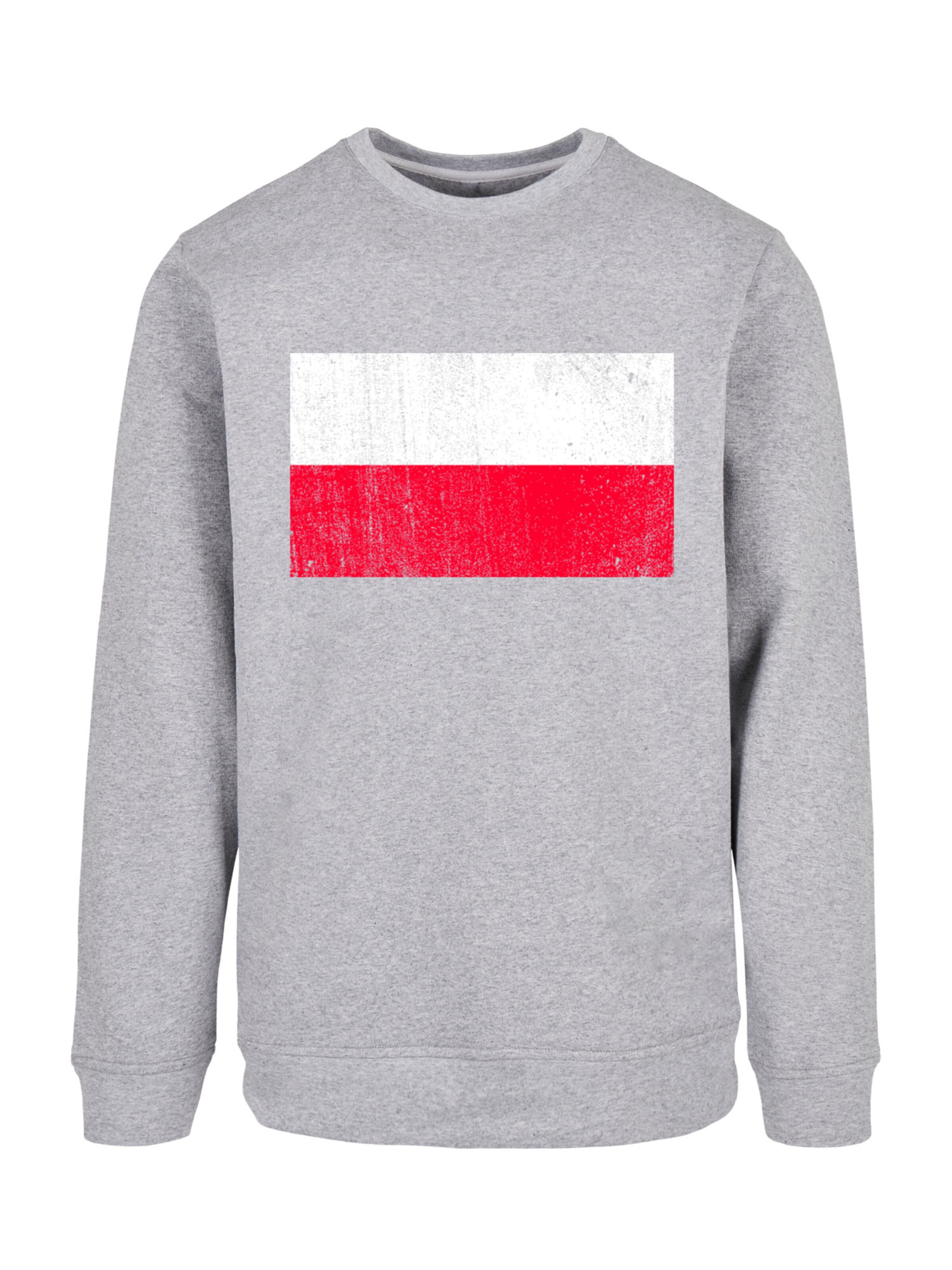 F4NT4STIC Sweatshirt in Grey: front
