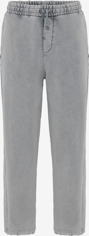 VAMOS CLO Housut värissä harmaa: etupuoli