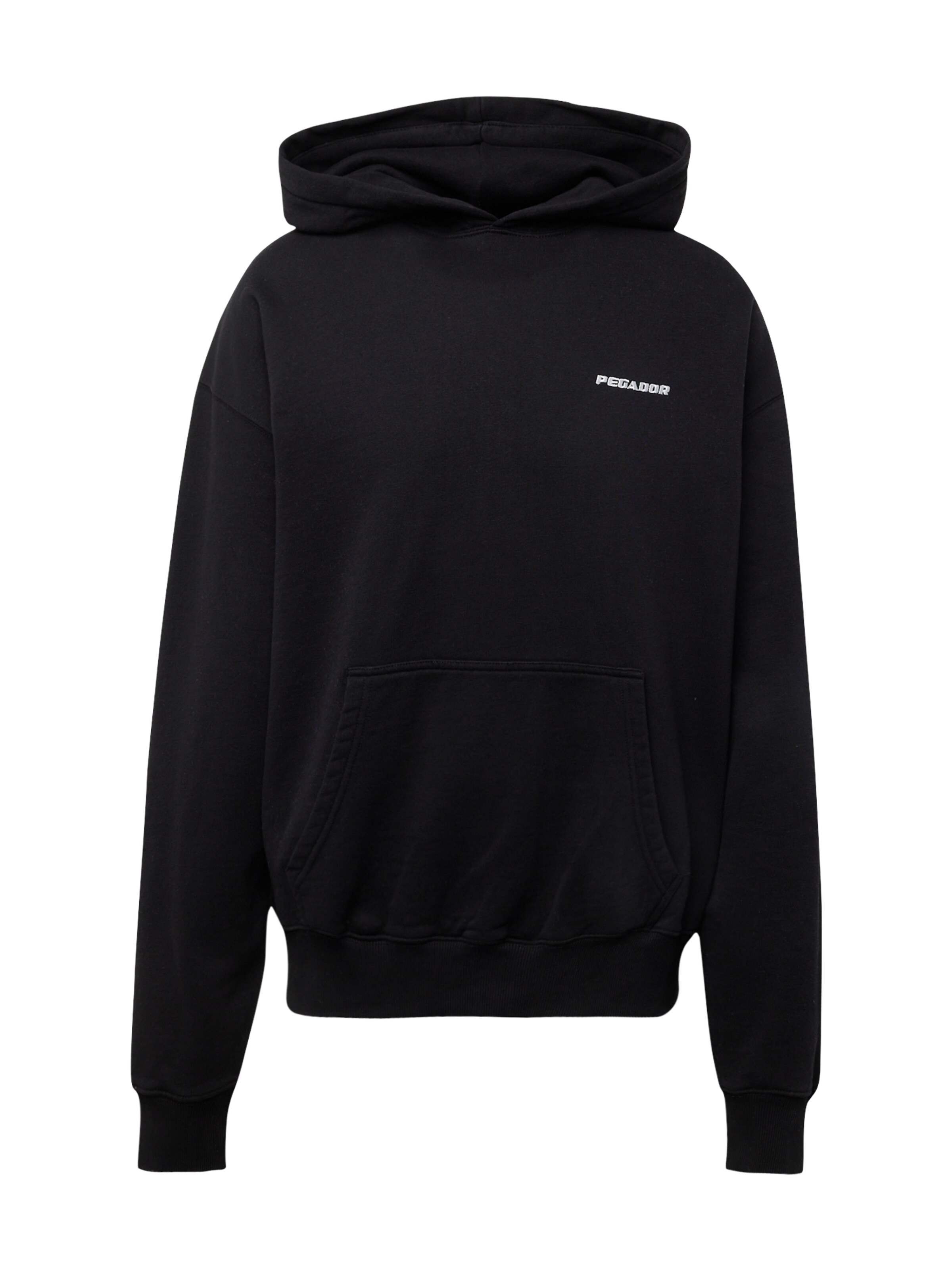 Pegador Sweatshirt in Black: front