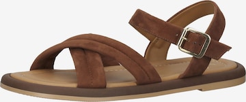 SANSIBAR Sandals in Green: front