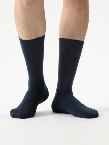 Von Jungfeld Socks 'Herbstfarben' in Blue