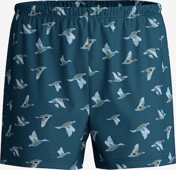 CALIDA Boxershorts in Blau: Vorderseite