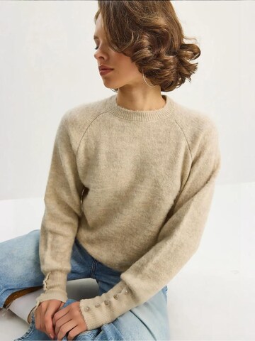 Bianco Lucci Pullover in Beige