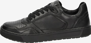 SIOUX Sneaker 'Tedroso-700' in Schwarz