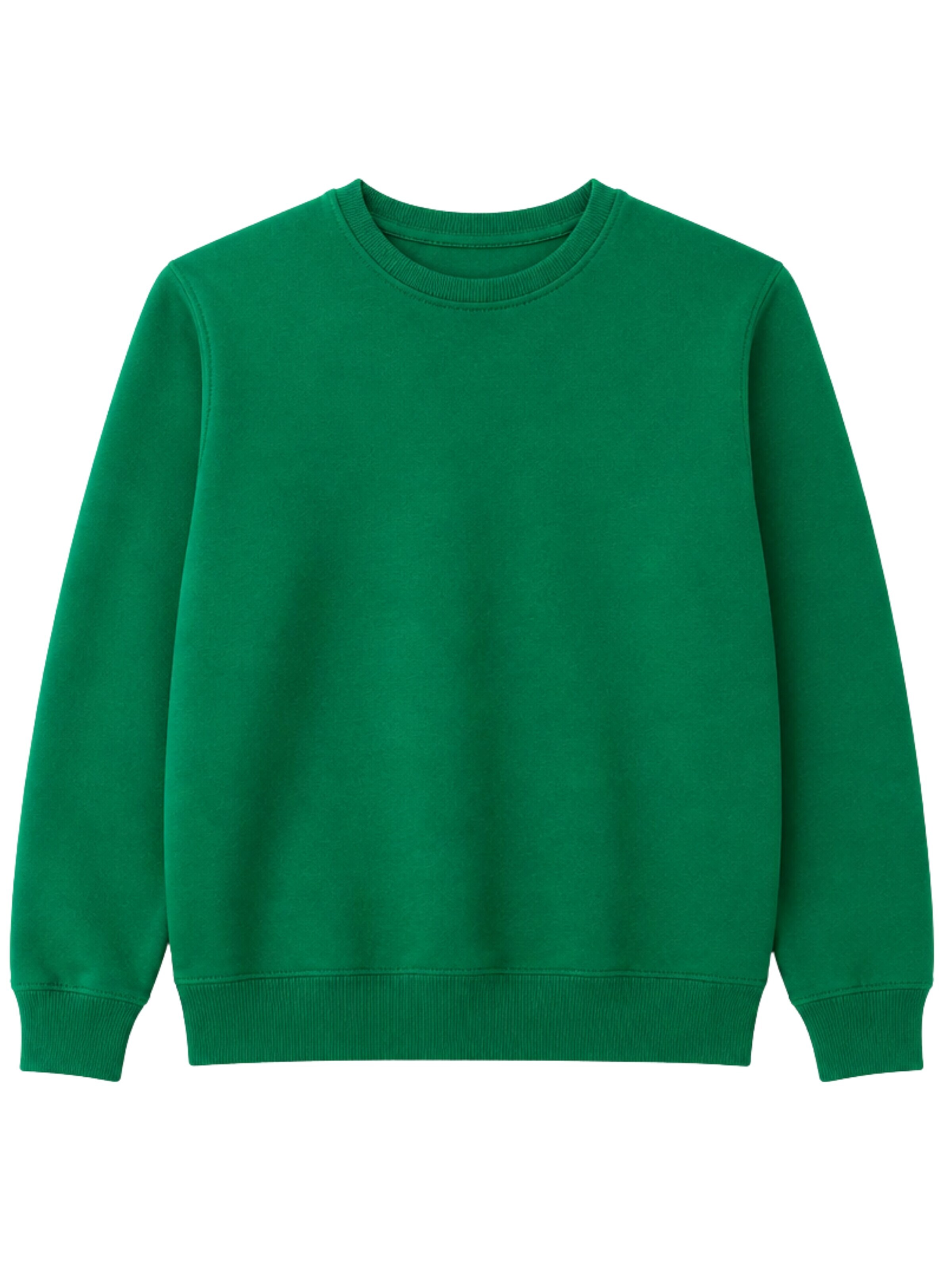 LOUIS LECLER Sweatshirt 'Carter' in Groen: voorkant
