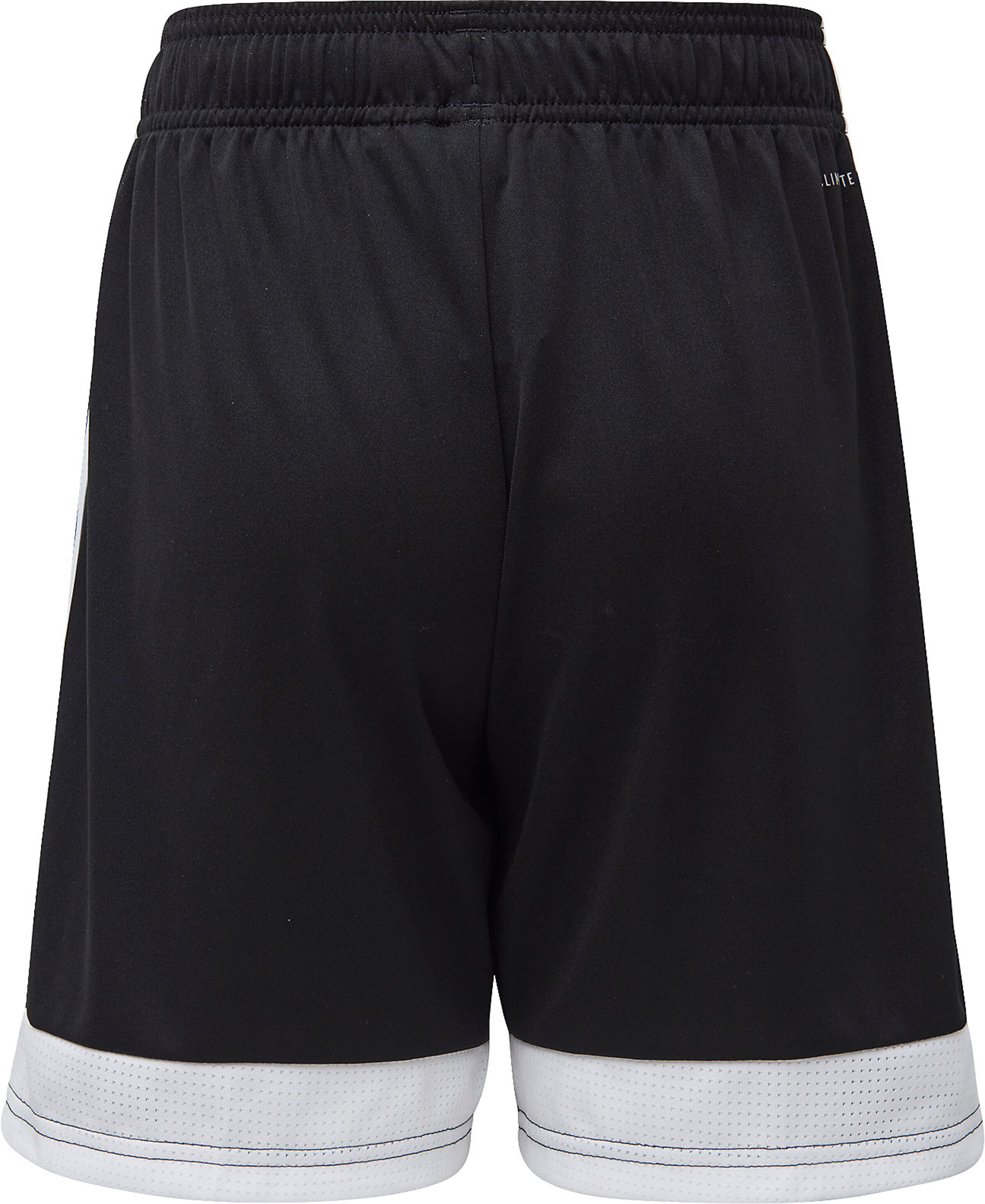 ADIDAS PERFORMANCE Normální Sportovní kalhoty 'Tastigo 19' – černá