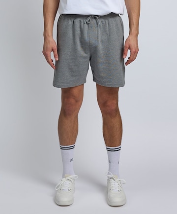 SNOCKS Regular Shorts in Grau: predná strana