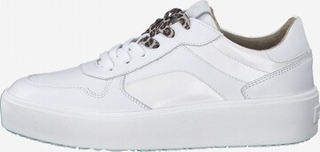 TAMARIS Sneakers in White