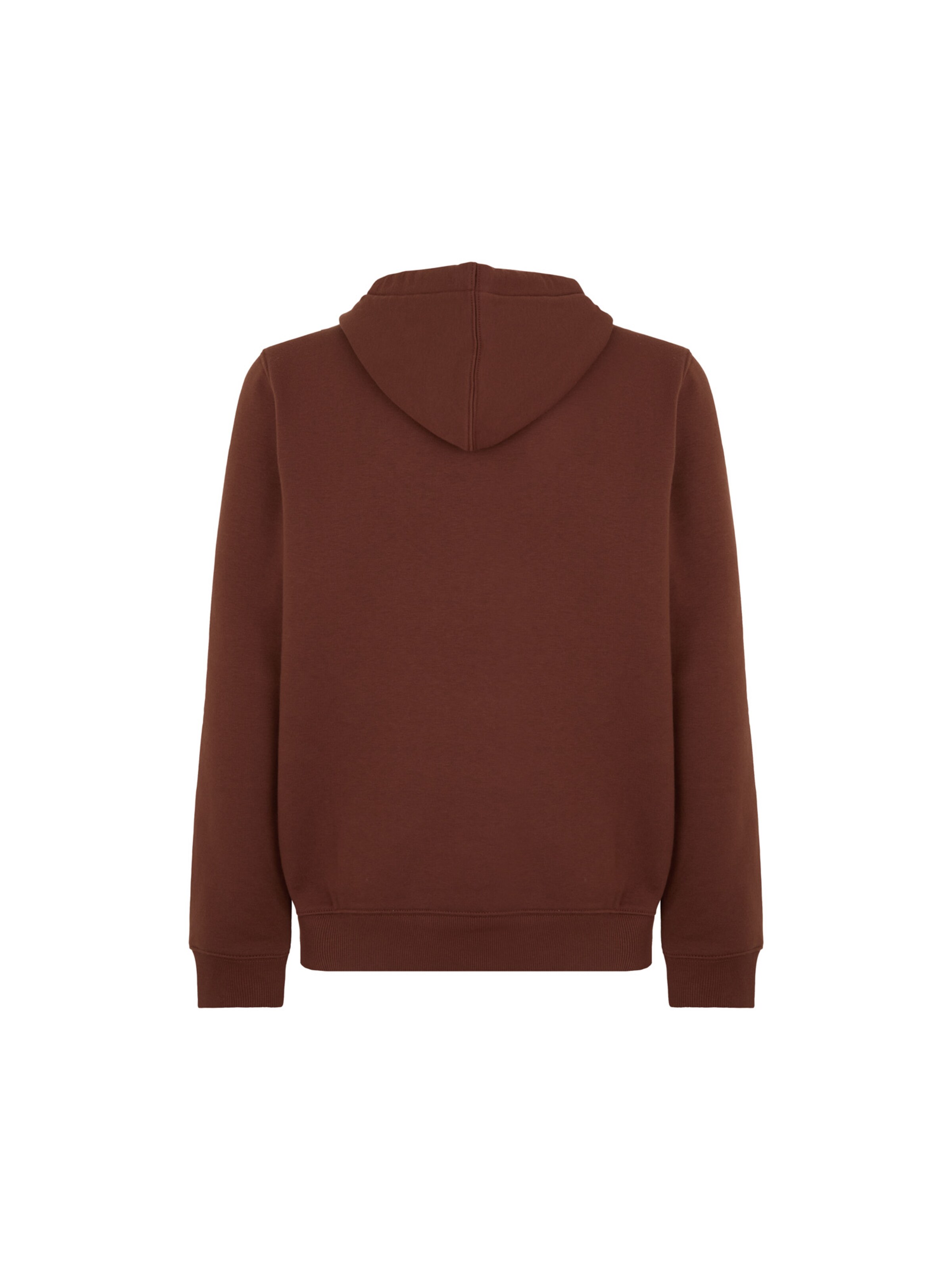 brūns DICKIES Sportisks džemperis 'Oakport'