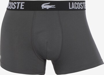 Lacoste Sport Athletic Underwear in Blue
