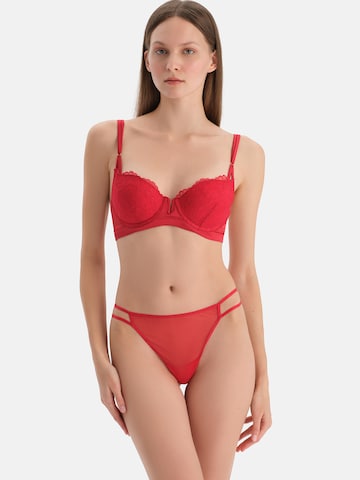 Dagi Стринги в Красный: спереди