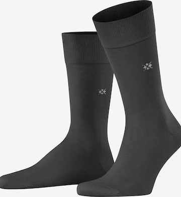 BURLINGTON Socks 'Dublin' in Grey: front