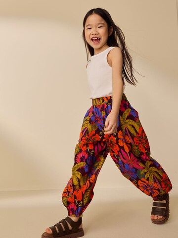 Next Tapered Hose in Mischfarben