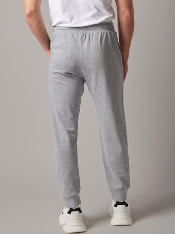 OWN Off With Nature Regular Broek 'Joggers' in Grijs