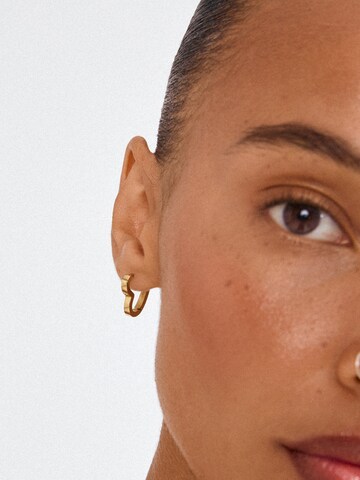 Pilgrim Kolczyki 'IVARIN' w kolorze złoty