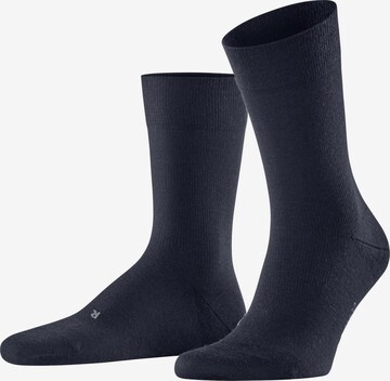 FALKE Socken 'Stabilizing Wool Everyday' in Blau: Vorderseite