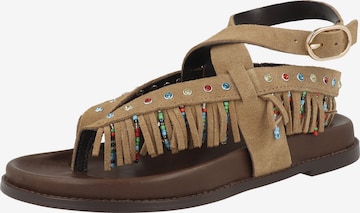 Sandales à lanières 'Wendell' STEVE MADDEN en marron : devant