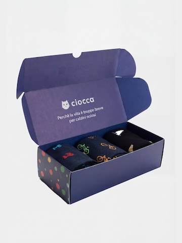 Ciocca Knee socks in Mixed colours