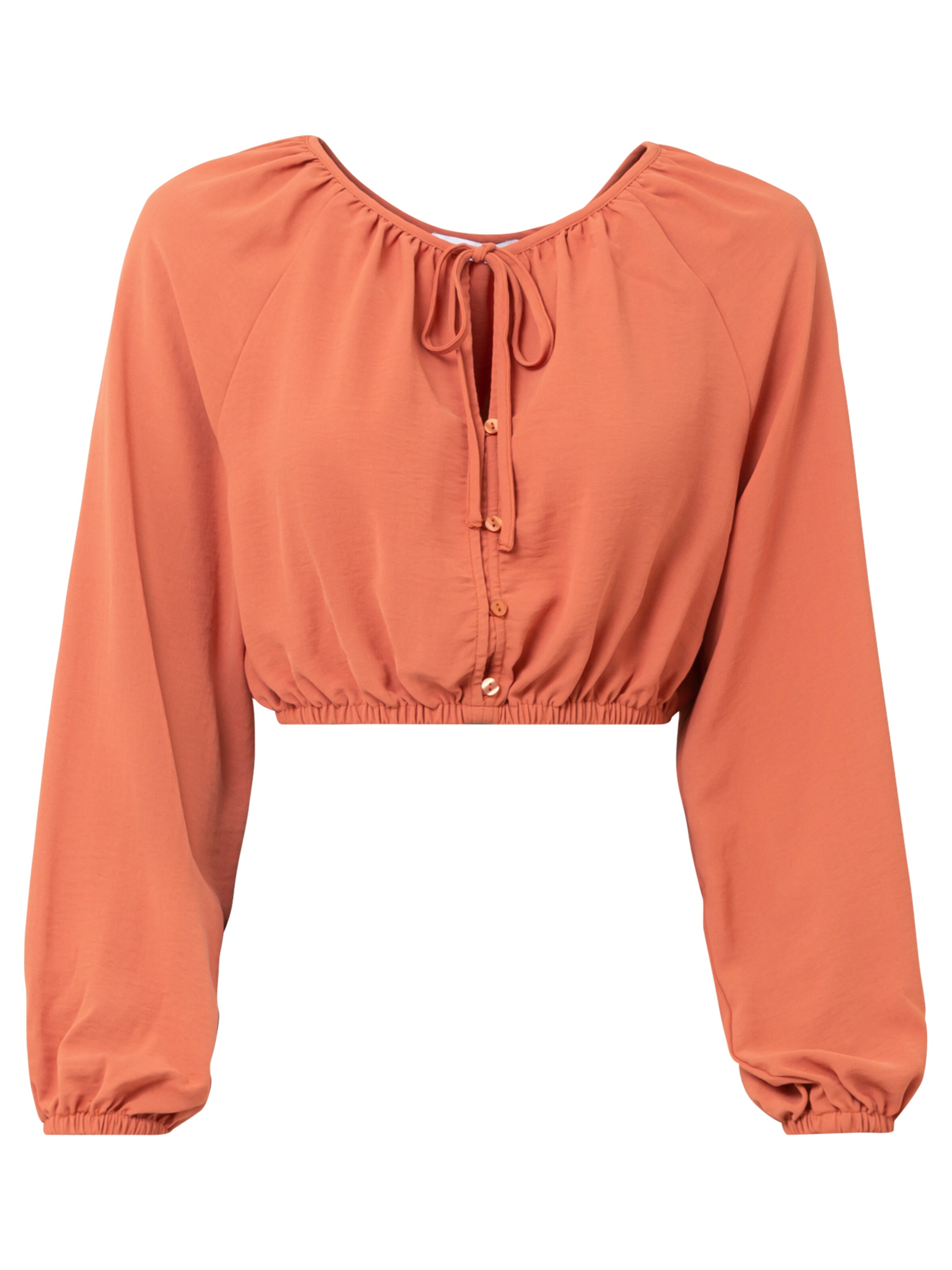 ABOUT YOU Bluse 'Valentina' in Orange: Vorderseite