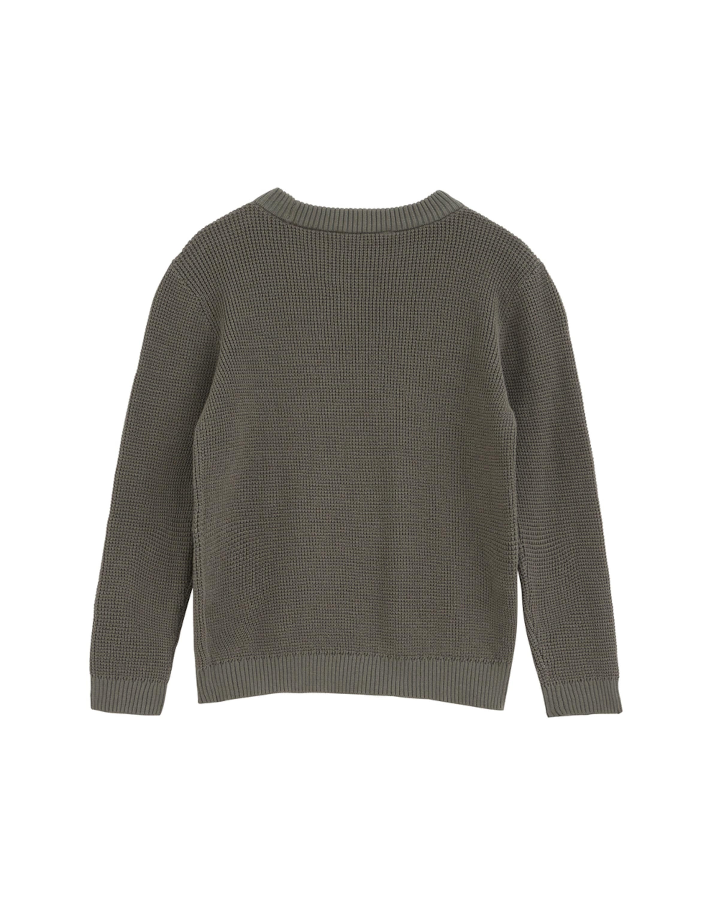 WE Fashion Sweater in Green