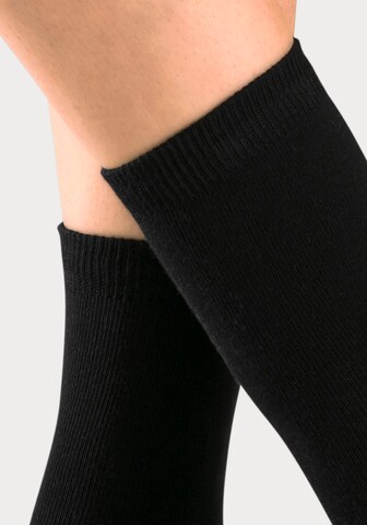 Elbsand Socks in Black