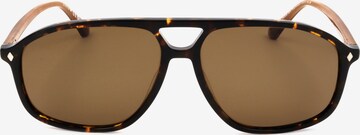 Occhiali da sole 'WE0338' di Web Eyewear in marrone: frontale