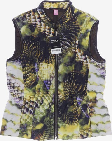 Basler Vest in XL in Mixed colors: front