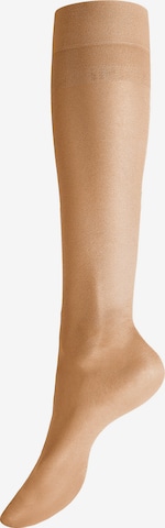 Gambaletto 'Glamour 20' di Hudson in beige: frontale