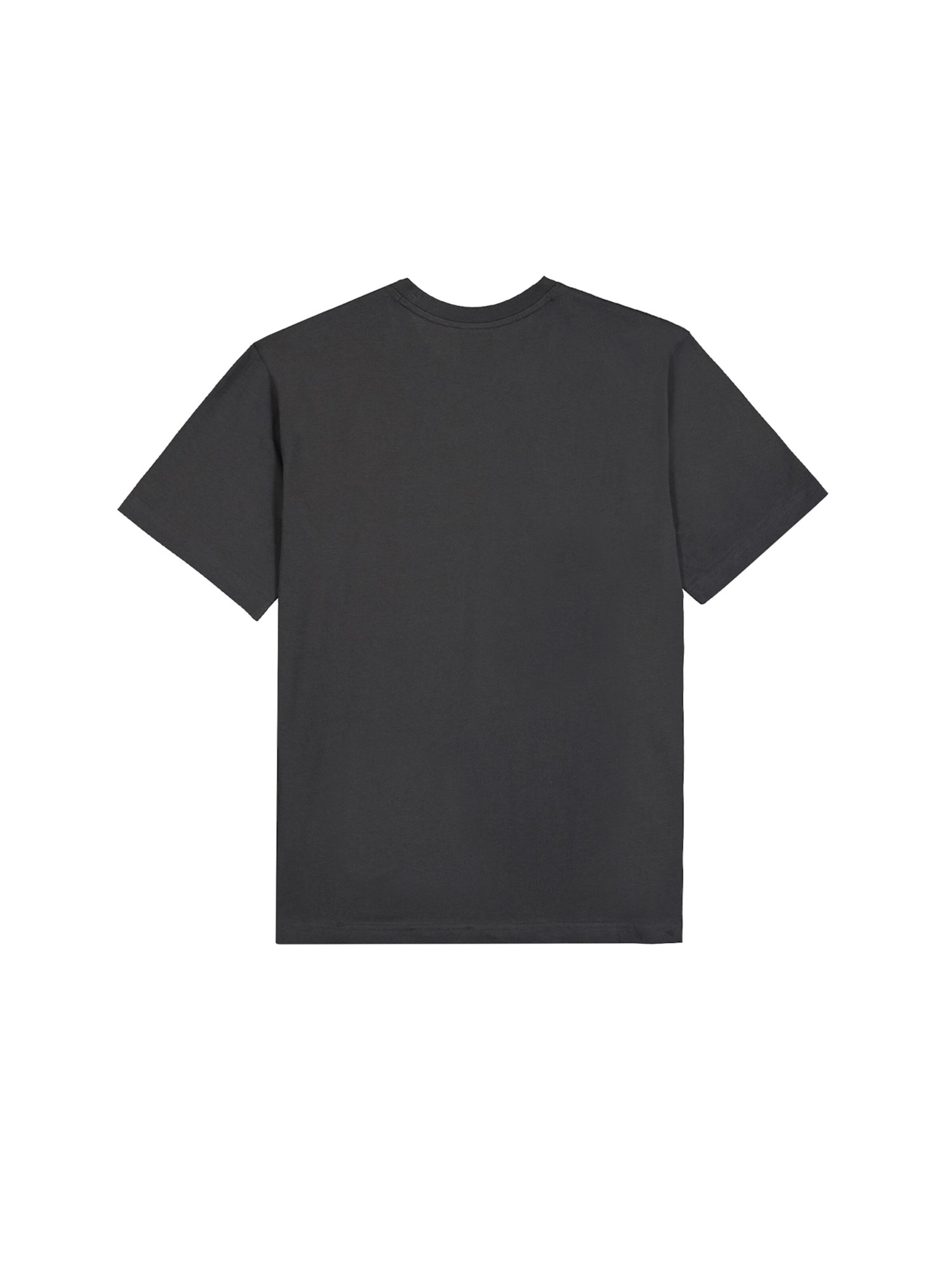 T-Shirt Champion Authentic Athletic Apparel en gris