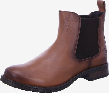 TT. BAGATT - Botas Chelsea en marrón: frente