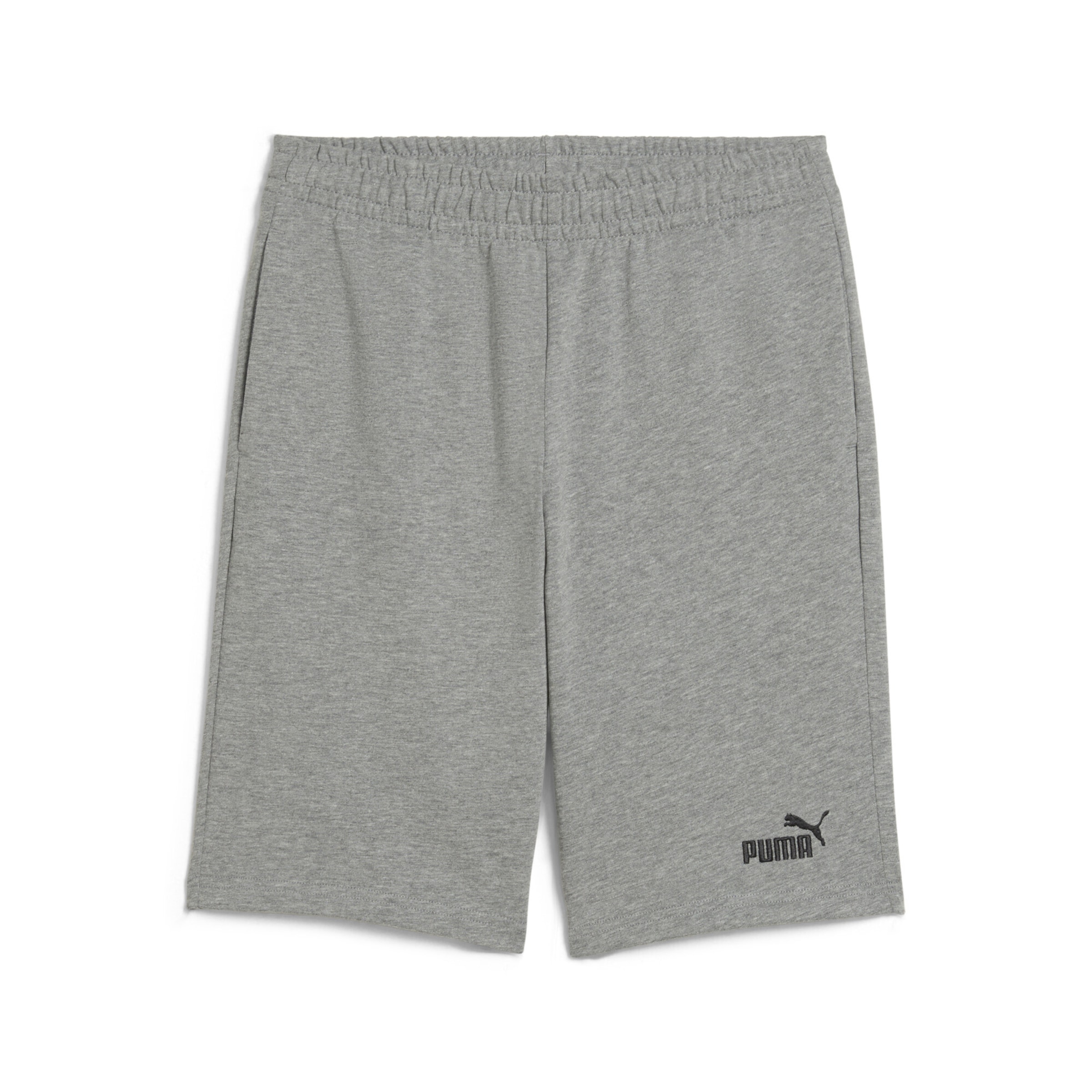 PUMA Regular Shorts 'ESS No. 1' in Grau: Vorderseite