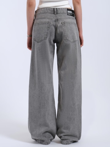 Dr. Denim Regular Jeans 'Rhue Low Wide' in Grey