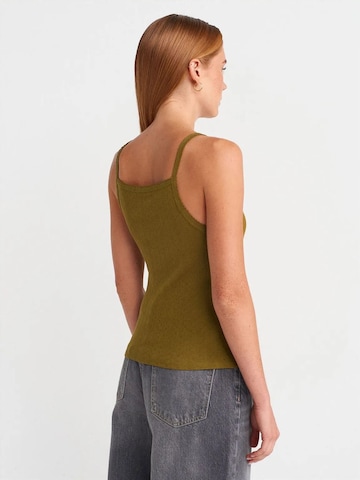 Haut Dilvin en vert