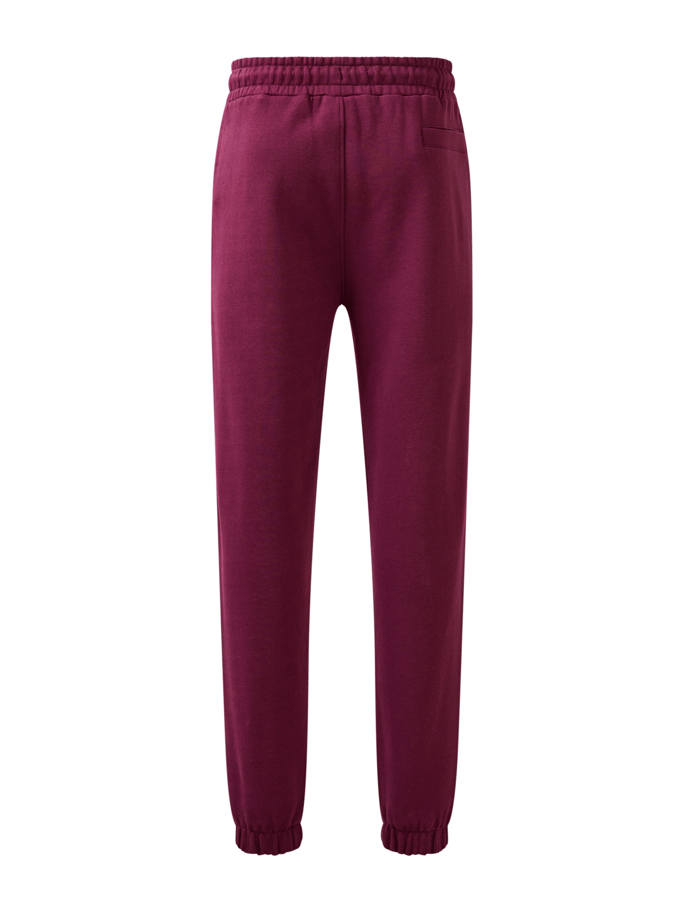 FC BAYERN MÜNCHEN Regular Pants in Red