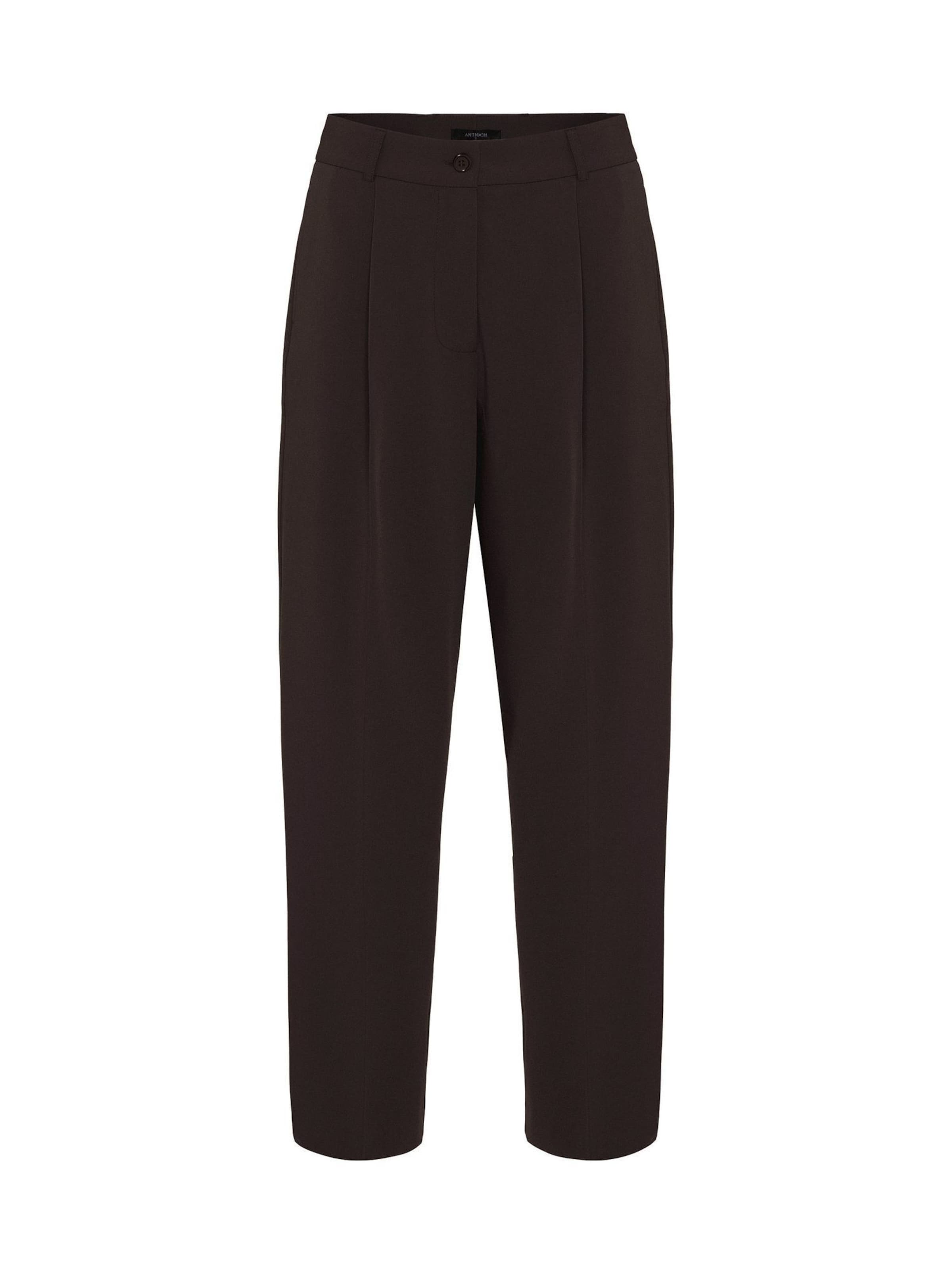 Antioch Voľný strih Plisované nohavice - Hnedá: predná strana