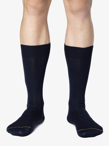Ciocca Socks in Blue