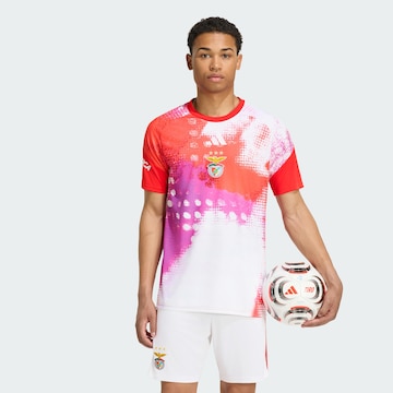 ADIDAS PERFORMANCE - Camisa funcionais 'Benfica Lissabon 26/27 Pre-Match' em vermelho: frente