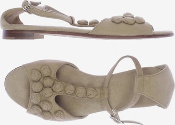 AGL Attilio Giusti Leombruni Sandalen 37 in Beige: predná strana