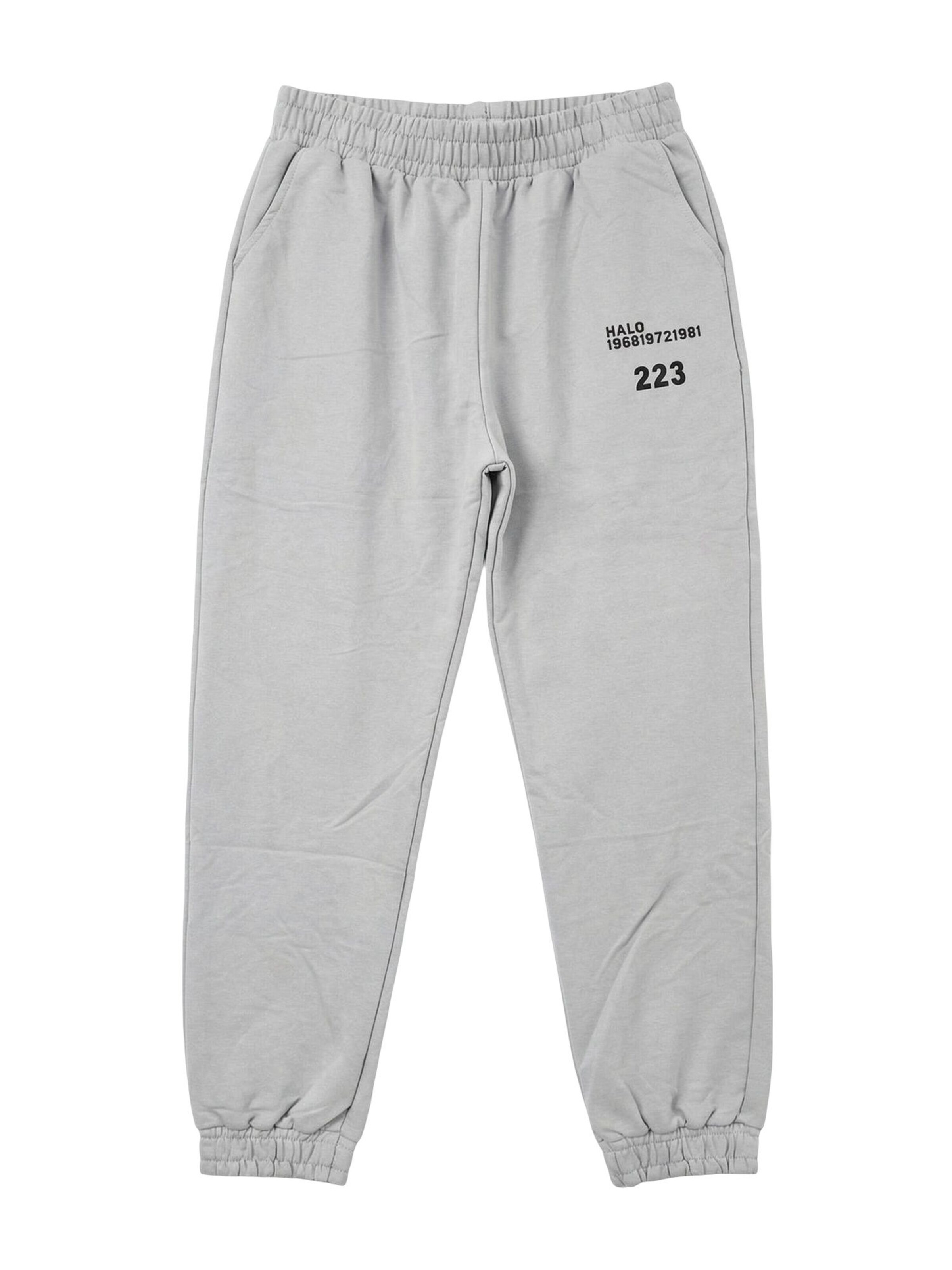 Pantaloni sportivi 'Aktive Unterteile' di My fashion in grigio: frontale