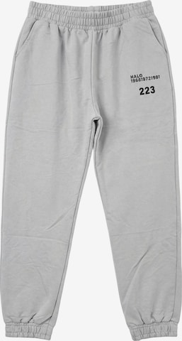 Pantaloni sportivi 'Aktive Unterteile' di My fashion in grigio: frontale