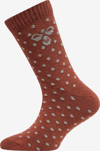 Chaussettes Hummel en marron