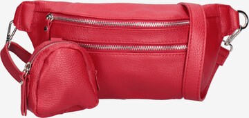 Roberta Rossi Fanny Pack in Red: front